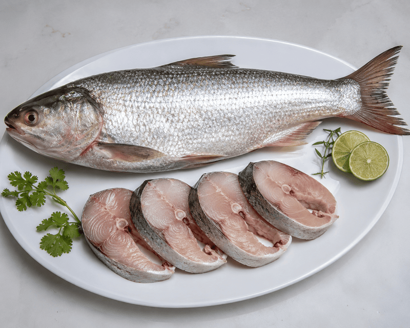 Grass Carp